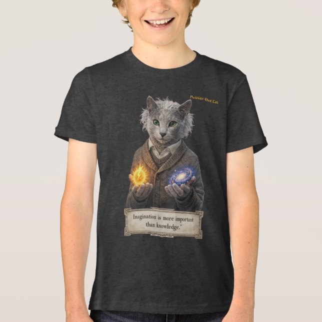Russian Blue Einstein Cat - Imagination Tri-Blend Shirt (Front)