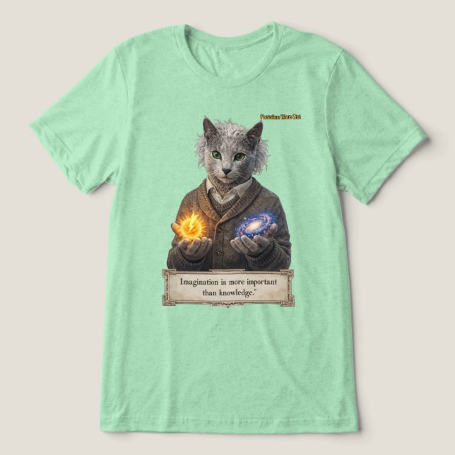 Russian Blue Einstein Cat - Imagination Tri-Blend Shirt (Design Front)