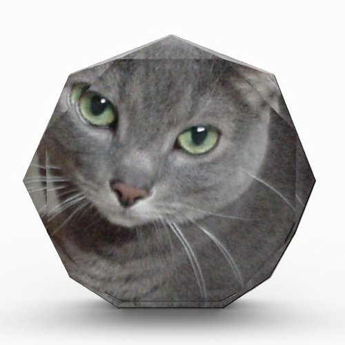 Russian Blue Gray Cat Acrylic Award