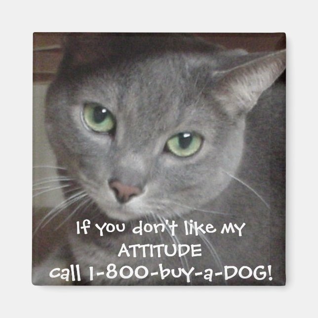 Russian Blue Gray Cat Attitude Humor Magnet (Front)