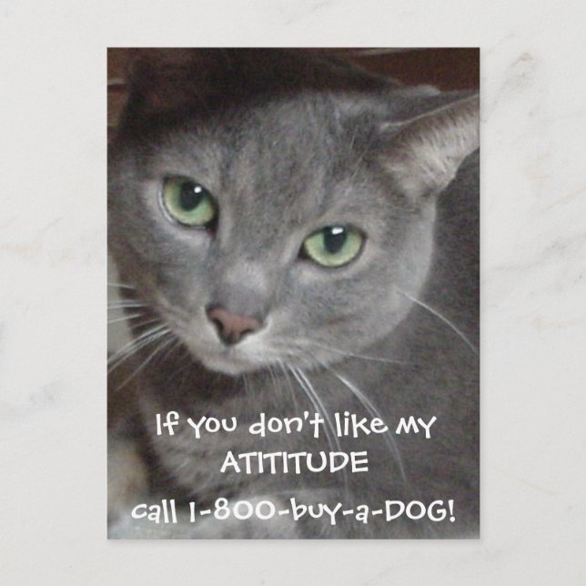 Russian Blue Gray Cat Attitude Humor Postcard (Front)