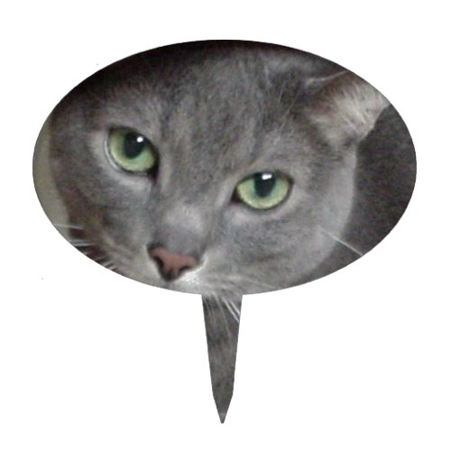 Russian Blue Gray Cat Cake Topper