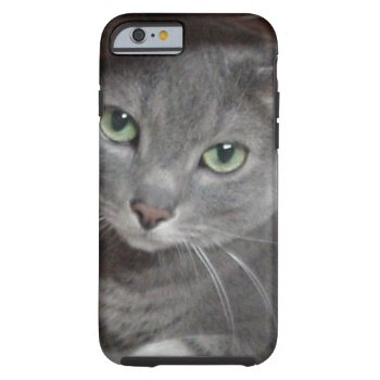 Russian Blue Gray Cat Tough Iphone 6 Case by Incatneato at Zazzle