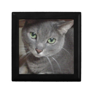 Russian Blue Gray Cat Jewelry Box