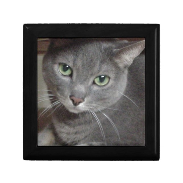 Russian Blue Gray Cat Jewelry Box (Front)