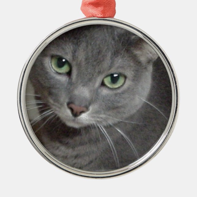 Russian Blue Gray Cat Metal Ornament (Front)