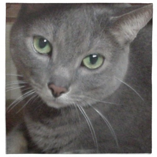 Russian Blue Gray Cat Napkin