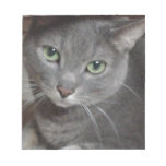 Russian Blue Gray Cat Notepad at Zazzle