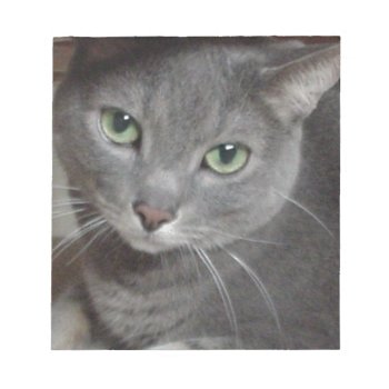 Russian Blue Gray Cat Notepad by Incatneato at Zazzle