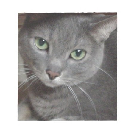 Russian Blue Gray Cat Notepad