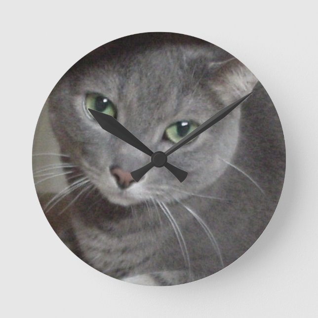 Russian Blue Gray Cat Round Clock (Front)