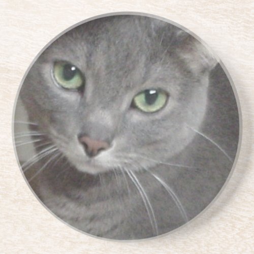 Russian Blue Gray Cat Sandstone Coaster