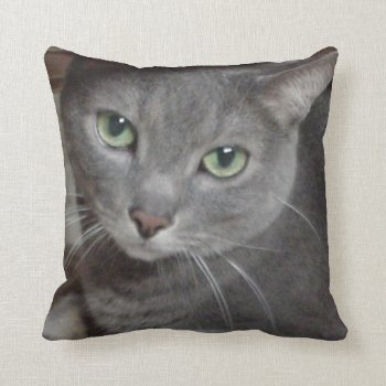 Russian Blue Gray Cat Throw Pillow by Incatneato at Zazzle