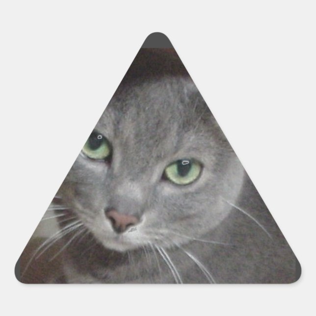 Russian Blue Gray Cat Triangle Sticker (Front)