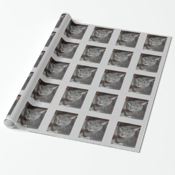 Russian Blue Gray Cat Wrapping Paper by Incatneato at Zazzle