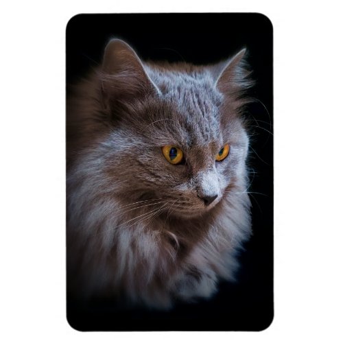 Russian Blue Gray Nebelung Cat Refrigerator Photo Magnet