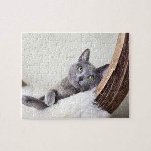 Russian Blue Jigsaw Puzzle