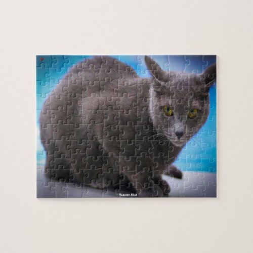 Russian Blue Jigsaw Puzzle