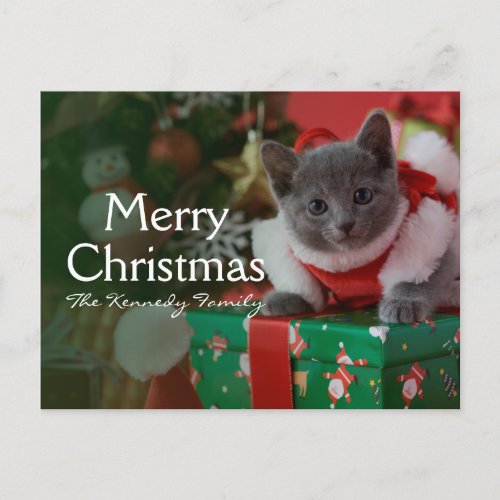Russian Blue Kitten and Christmas Holiday Postcard