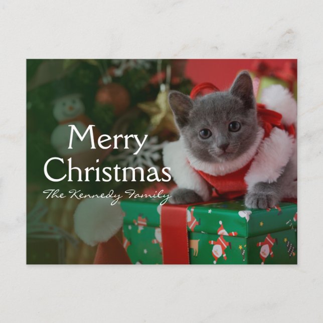 Russian Blue Kitten and Christmas Holiday Postcard (Front)