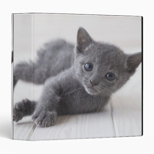 Russian Blue Kitten Binder