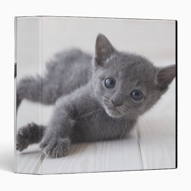Russian Blue Kitten Binder (Front/Spine)