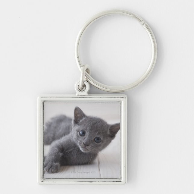 Russian Blue Kitten Keychain (Front)