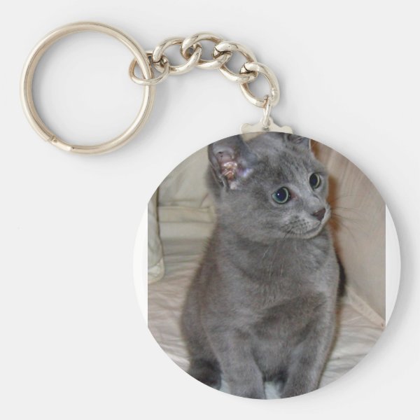 Personalized Russian Blue Cat Gifts on Zazzle