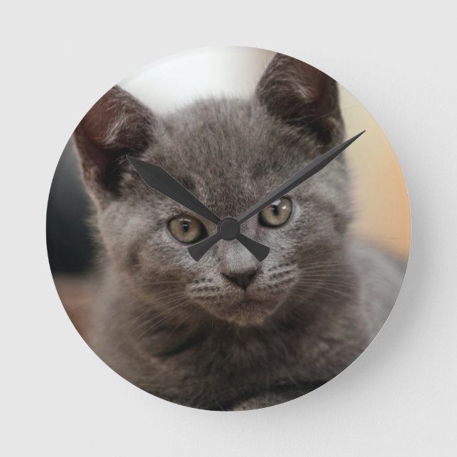 Russian Blue Kitten Round Clock (Front)