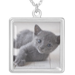 Russian Blue Kitten Silver Plated Necklace