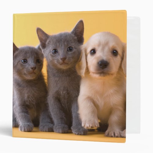 Russian Blue Kittens And Dachshund Puppies Binder