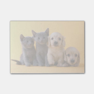Russian Blue Kittens And Dachshund Puppies Post-it Notes