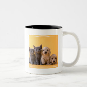 Russian Blue Kittens And Dachshund Puppies Two-Tone Coffee Mug