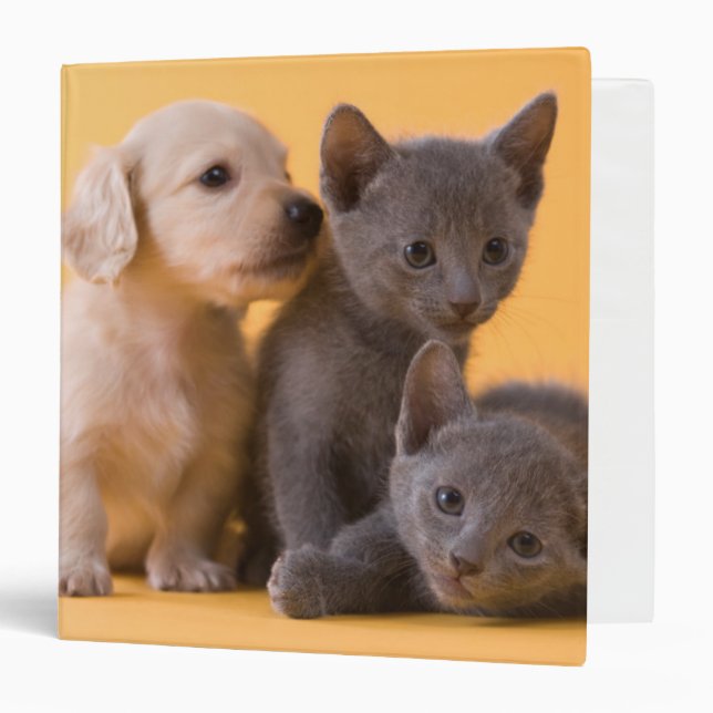 Russian Blue Kittens & Dachshund Puppies Binder (Front/Inside)