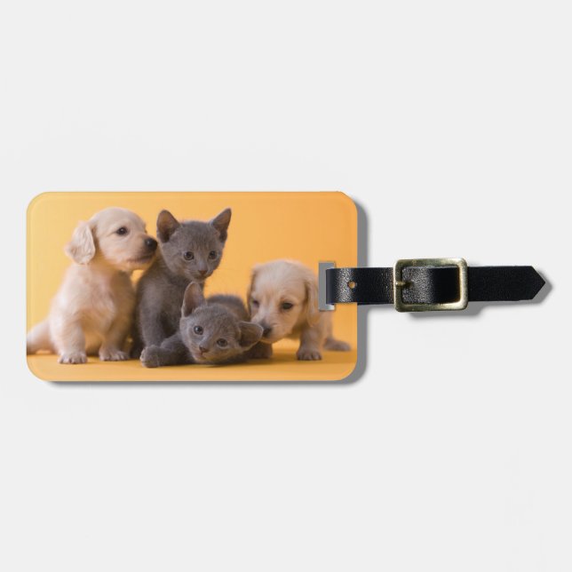 Russian Blue Kittens & Dachshund Puppies Luggage Tag (Front Horizontal)