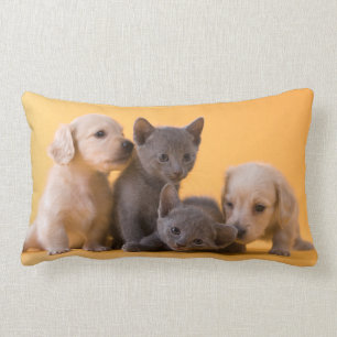 Russian Blue Kittens & Dachshund Puppies Lumbar Pillow