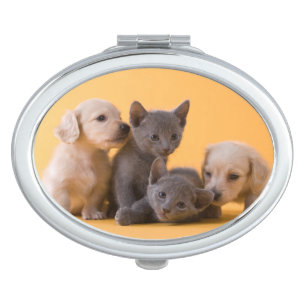 Russian Blue Kittens & Dachshund Puppies Makeup Mirror
