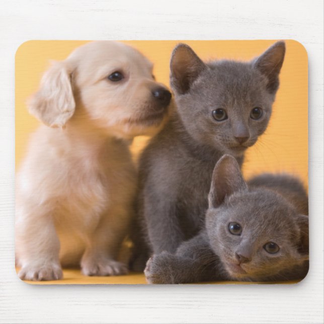 Russian Blue Kittens & Dachshund Puppies Mouse Pad (Front)