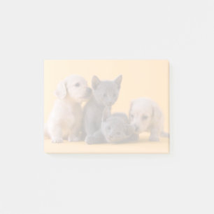 Russian Blue Kittens & Dachshund Puppies Post-it Notes