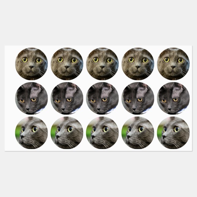 Russian Blue Labels (Sheet)