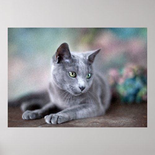 Russian Blue Poster