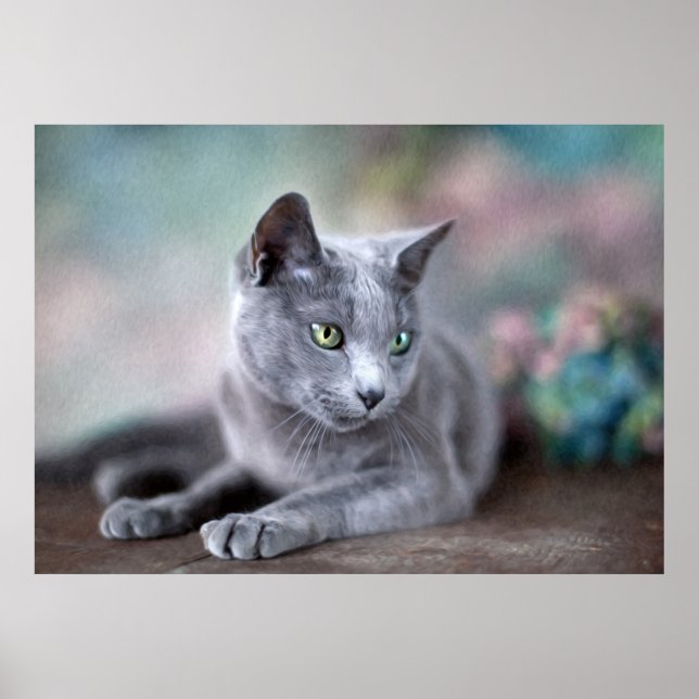 Russian Blue Poster (Front)