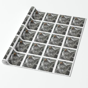 Russian Blue Wrapping Paper by Rinchen365flower at Zazzle