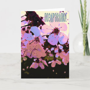 Russian Congratulation card with Cherry Flowers