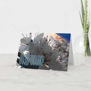 Russian Congratulation card with Cherry Flowers
