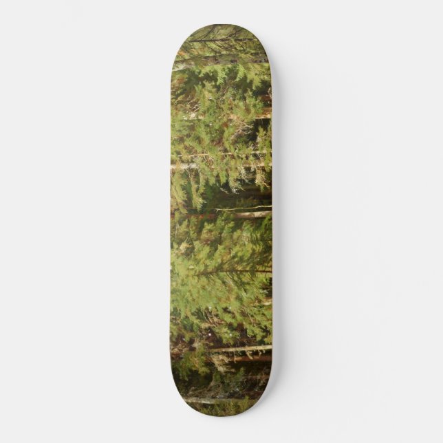 Russian Forest (Rustic Landscape) (Green Woods) Skateboard (Front)