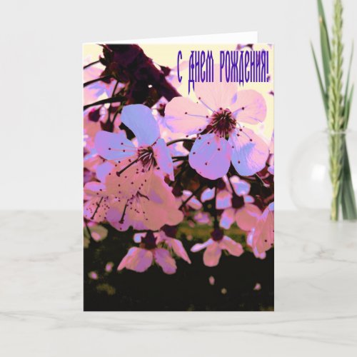 Russian Happy Birthday  card with Cherry Flowers
