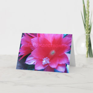 Russian Merry Christmas Card, Christmas Cactus Holiday Card