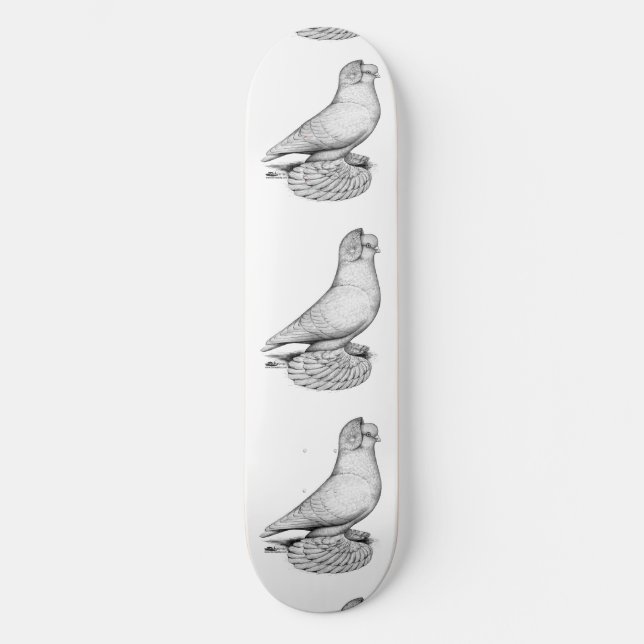 Russian Tumbler Pigeon Skateboard Deck (Front)