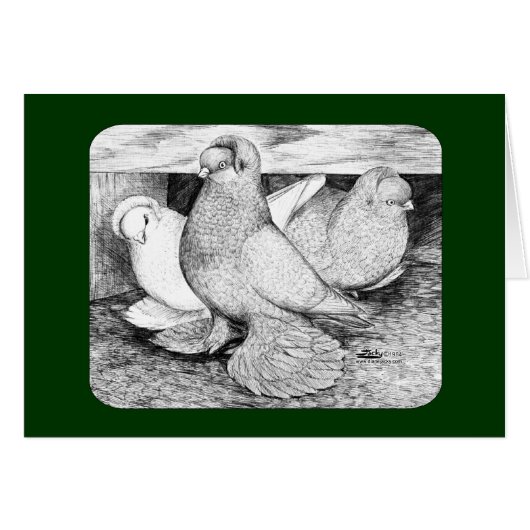 Russian Tumbler Pigeons 1984 (Front Horizontal)